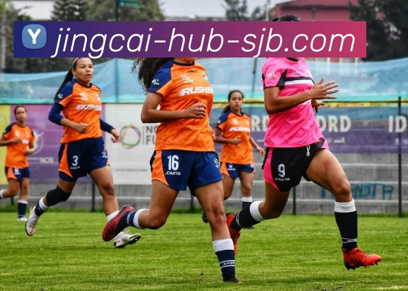 竞彩网，竞彩网官网，竞彩网官方网站，竞彩网入口，竞彩网APP发展历程